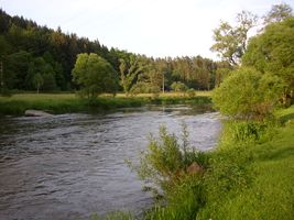 Sázava 12 P-Smrčná 25.5.08 (5).jpg